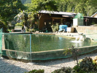 鮎川魚苑